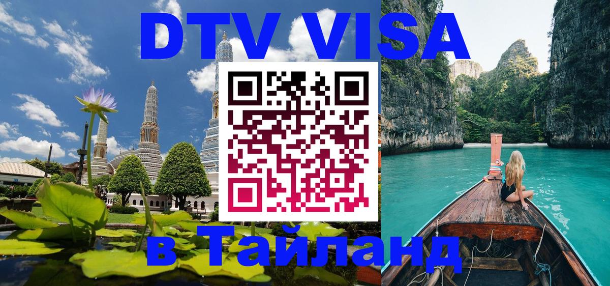Оформление DTV визы под ключ: стоимость и тарифы, только загранпаспорт - 